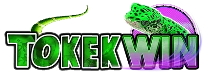 tokekwin